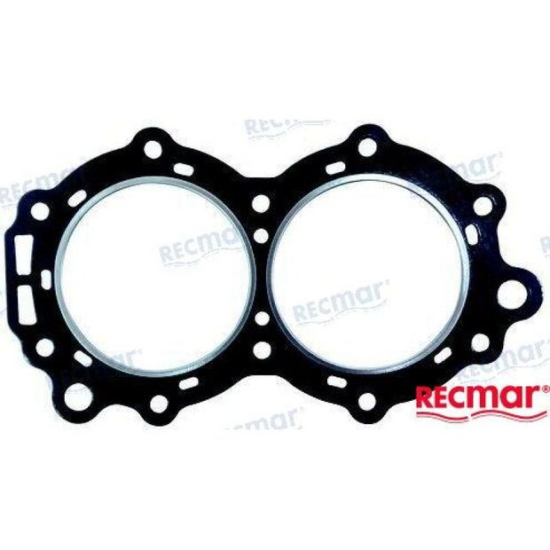 REC307069 - CILINDERKOPPAKKING Bombardier 1