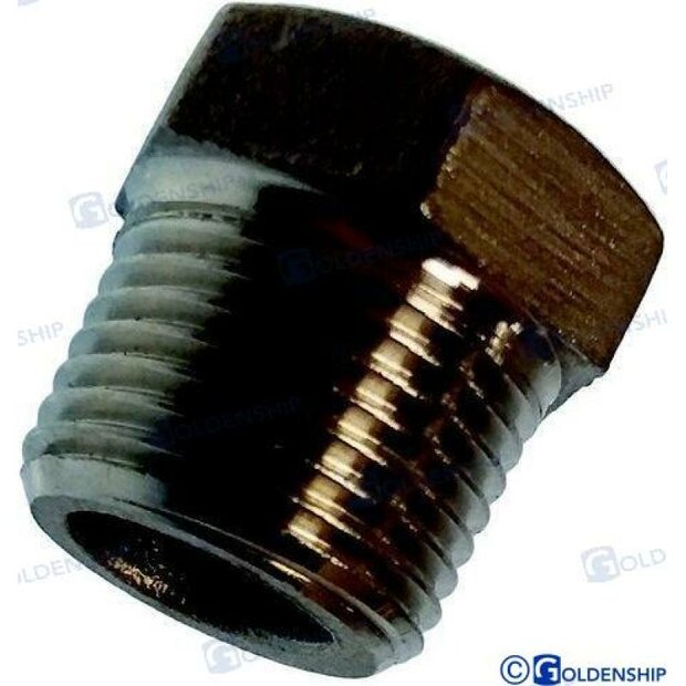 GS30586 - 2&quot; RVS MANNELIJKE PLUG 1