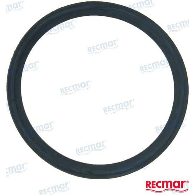 REC119578-49110 - THERMOSTAAT PAKKING Yanmar 1