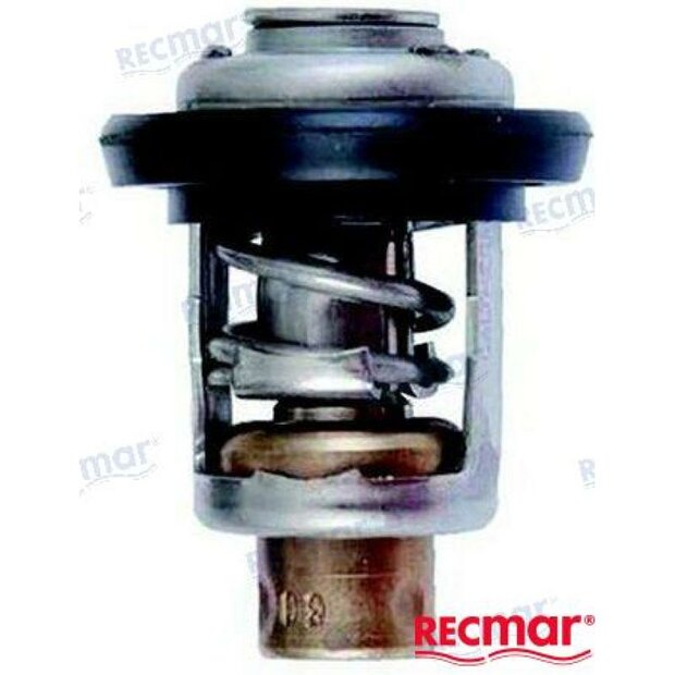 REC19300-ZV5-043 - THERMOSTAAT Tohatsu 1