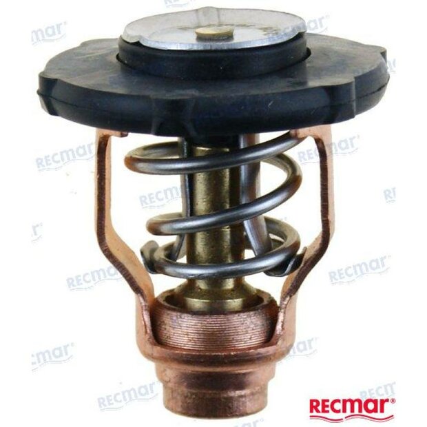 REC6FP-12411-00 - YAMAHA THERMOSTAAT 60 graden 1