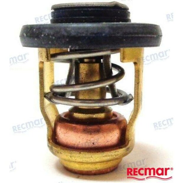 REC6H3-12411-10 - THERMOSTAATSET Yamaha 1