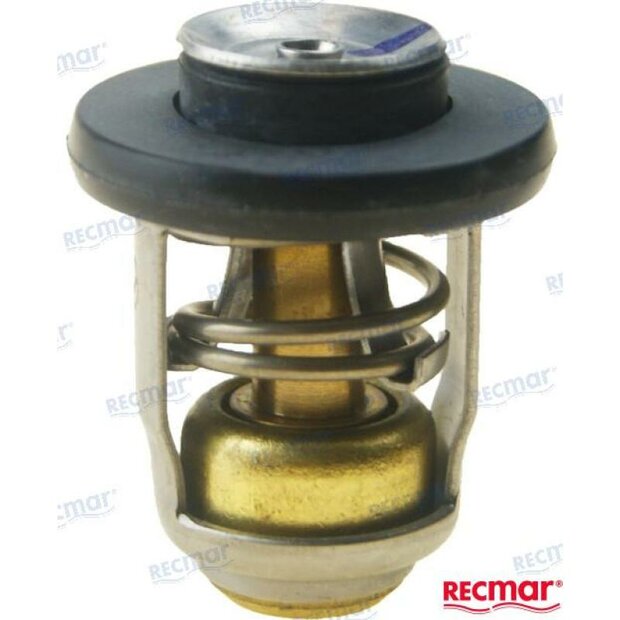 REC855676002 - THERMOSTAAT 60 graden Tohatsu 1