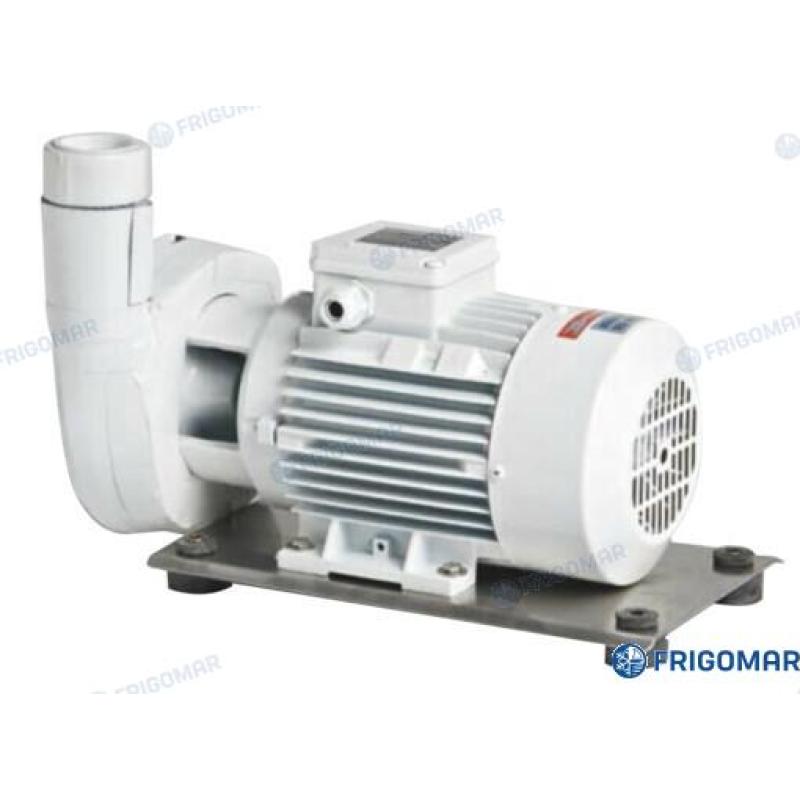 FRI714 - ZOUTWATERPOMP B-C(M) 41/1E (0,75 kW)